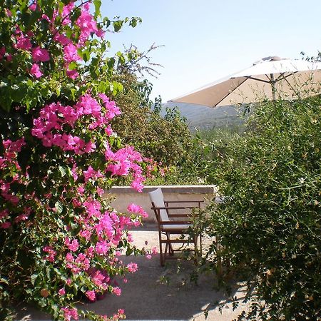Villa Ouranos Kissamos Luaran gambar